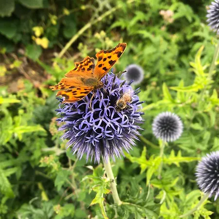 Fermette Couette-café